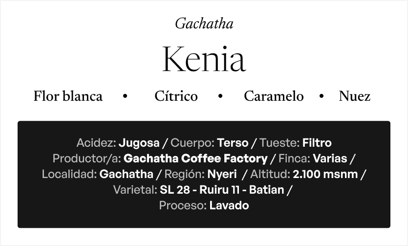 ETIOPÍA Yirgacheffe