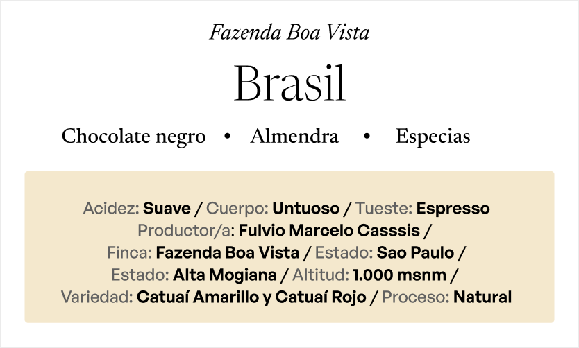 ETHIOPIA Yirgacheffe