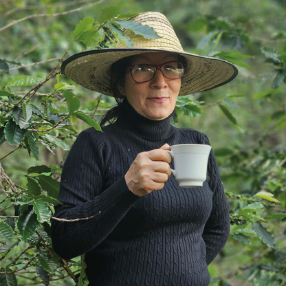 COLOMBIA Los Rosales