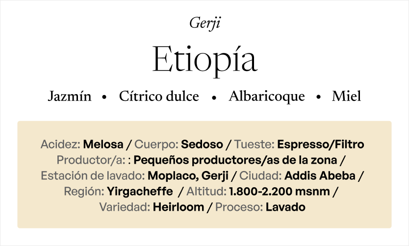 ETIOPÍA Yirgacheffe Gerji