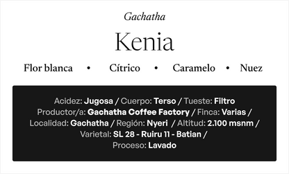 KENIA Gachatha