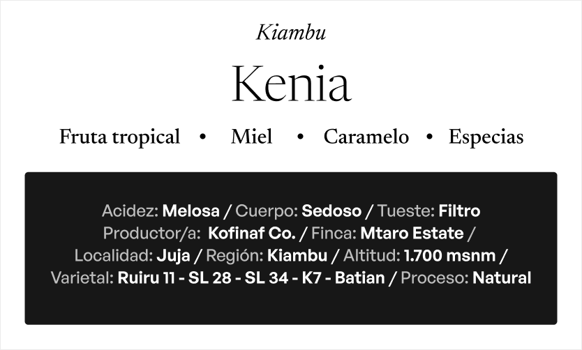 KENIA Kiambu (Edición Especial Navidad)