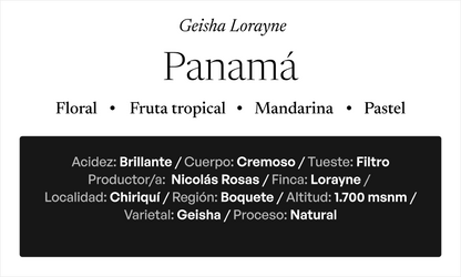 PANAMÁ Geisha Lorayne (Edición Especial Navidad)